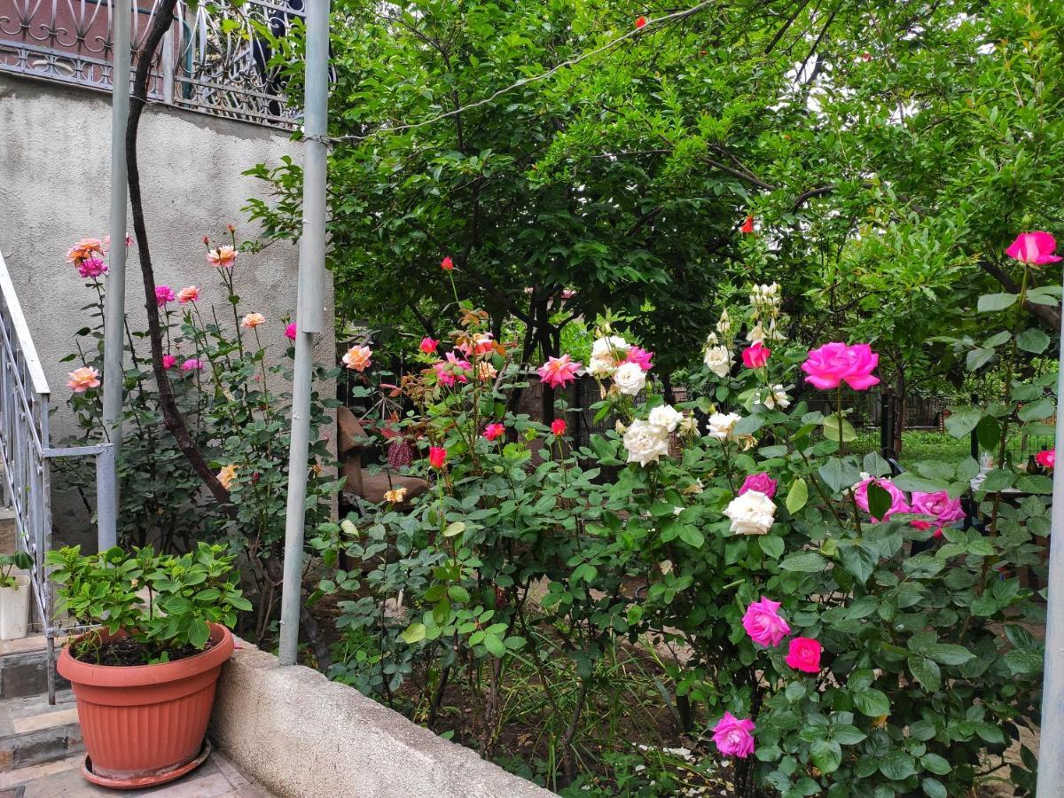 Guesthouse TTT Tbilisi Eksteriør billede