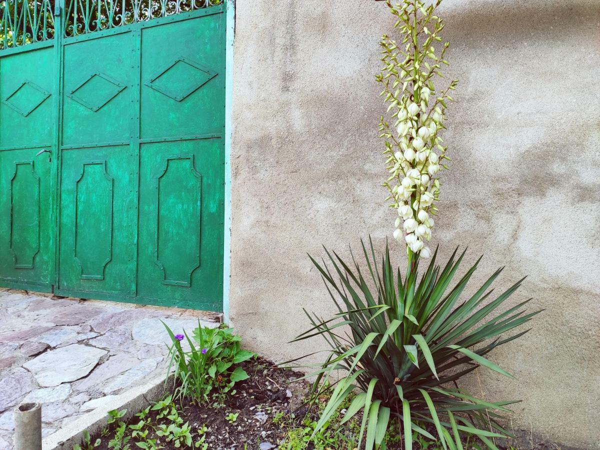Guesthouse TTT Tbilisi Eksteriør billede